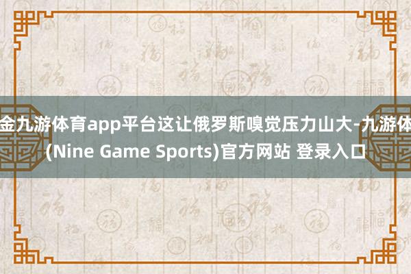 现金九游体育app平台这让俄罗斯嗅觉压力山大-九游体育(Nine Game Sports)官方网站 登录入口